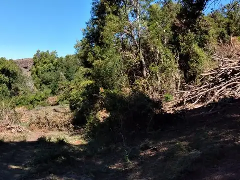 Eco lote en Venta. 828 m2 San Martin de los Andes