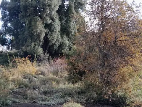 Terreno en Venta de 828,0 m2