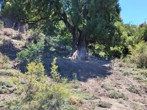 Terreno en Venta en San Martin de los Andes, USD 28.000