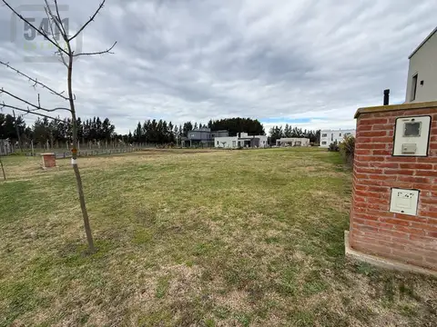Terreno en Venta 17  mts Frente