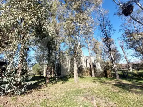 Los Potrillos - Fatima Km 100