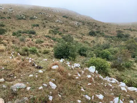 Quinta en Venta en Aigua, USD 145.000