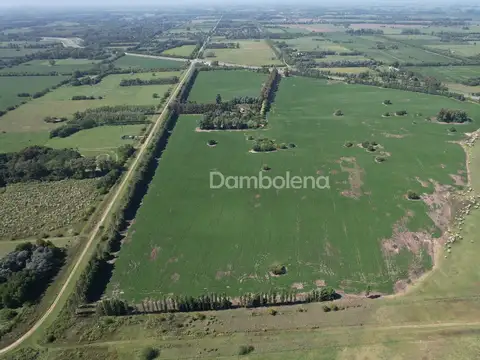 Colectora Acceso Oeste y Ruta Nacional N° 7 100