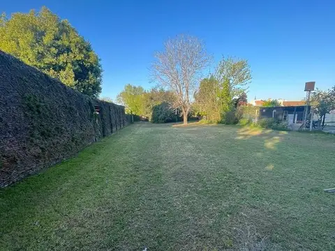 Dardo Rocha 100
