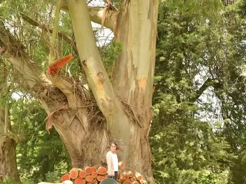 LOTE EN SAN JUAN CHICO