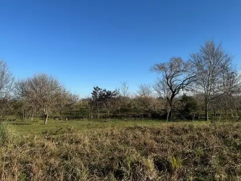 Terreno en Venta de 43,0 m2