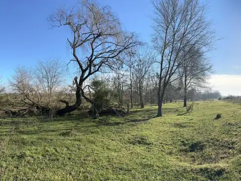 Terreno en Venta en Pilar, USD 6.900.000