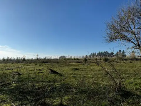 Terreno de 42 hectáreas, zona Polo Pilar