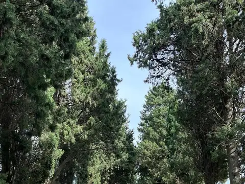 Barrio Privado Ayres de Casares