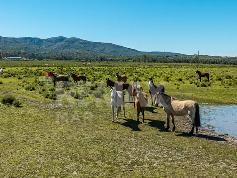 Chacra Marítima en Bella Vista - Lanzamiento 