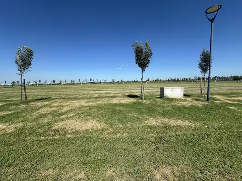 Vida Club de Campo