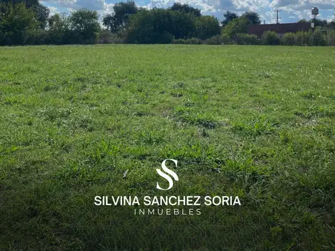 TERRENO EN VENTA, ZONA MESTIZA, LOS CARDALES