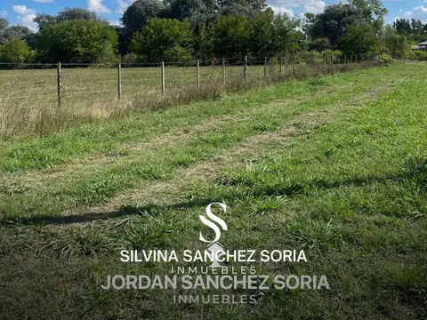 TERRENO EN VENTA, ZONA MESTIZA, LOS CARDALES