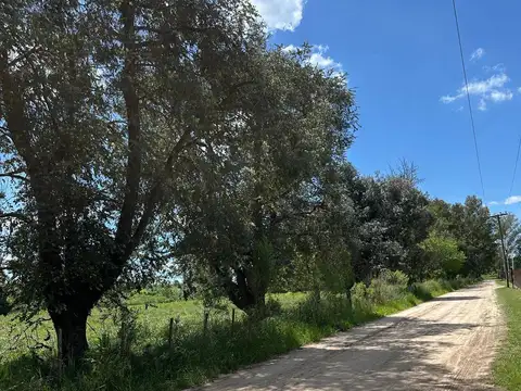 Terreno en Venta de 2000,0 m2