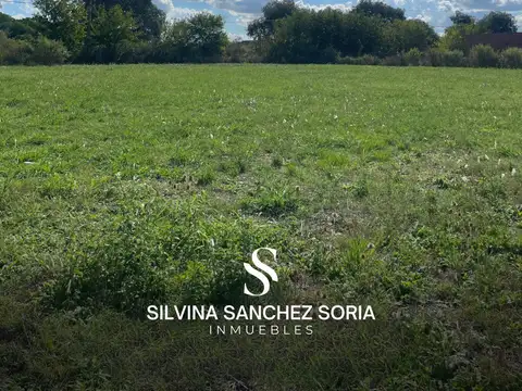 TERRENO EN VENTA, ZONA MESTIZA, LOS CARDALES