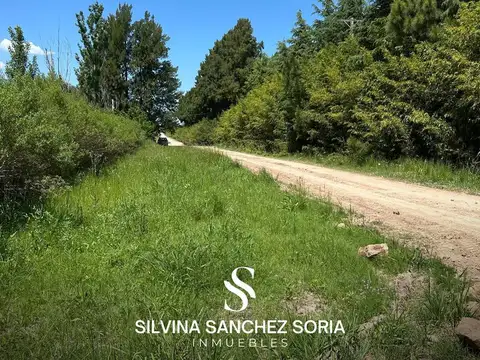 TERRENO EN VENTA, ZONA MESTIZA, LOS CARDALES