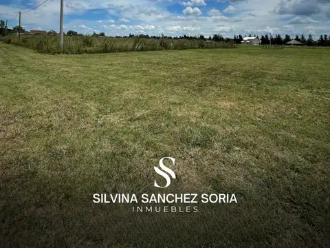 TERRENO EN VENTA, ZONA MESTIZA, LOS CARDALES