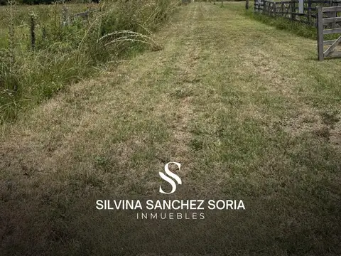 Terreno en Venta 50  mts Fondo