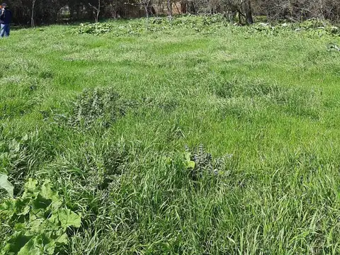 Campo en Venta de 33  ha