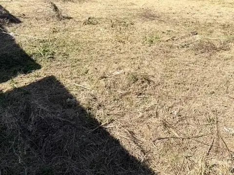 Terreno en Venta 16  mts Frente