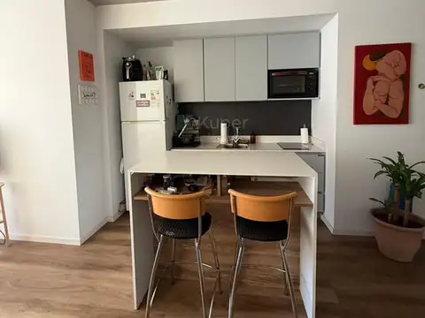 Departamento  en Venta en Parque Centenario, Capital Federal, Buenos Aires