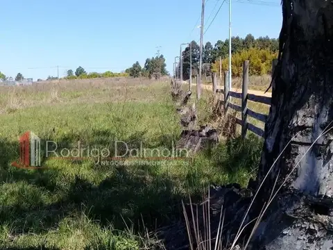 Gualeguay 4500