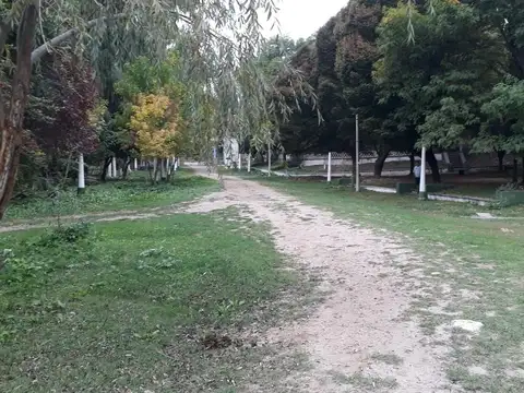 VENTA DE HECTAREAS DESARROLLO MINERAL EN TUNUYAN MENDOZA