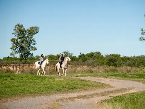 Terreno en Venta de 900,0 m2