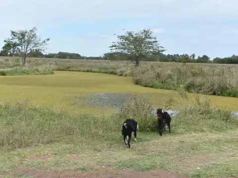 Venta Campo de 56 hectáreas en ruta 34, Pilar, GBA Norte