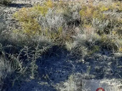Terreno en Venta en Balneario las Grutas, USD 40.000