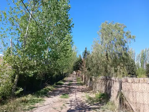 Terreno en Venta en Perdriel, USD 18.000