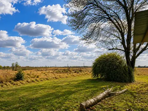 Venta campo 4 hectáreas sobre ruta 11 varios fines