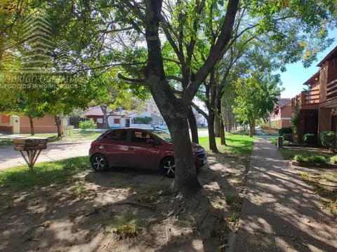 Duhau al 212
