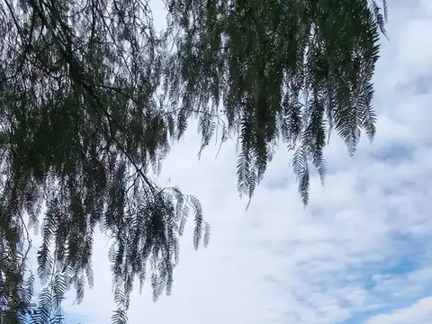 Venta Terreno B° La Angostura El Challao Mendoza