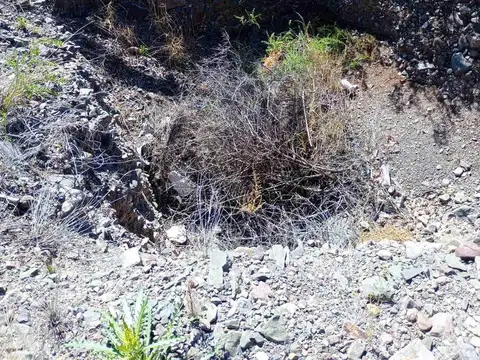 Terreno en Venta en Mendoza, USD 19.000