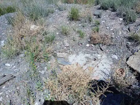 Terreno en Venta de 500,0 m2