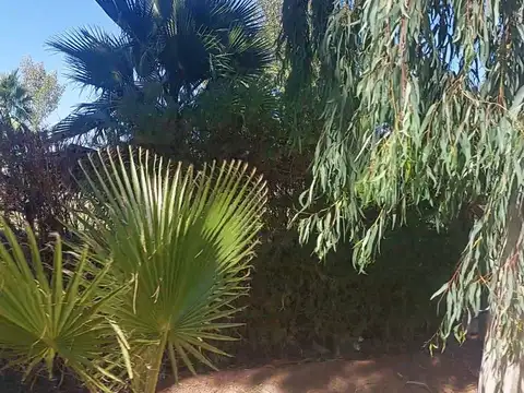 Ruta Provincial 20 s/n