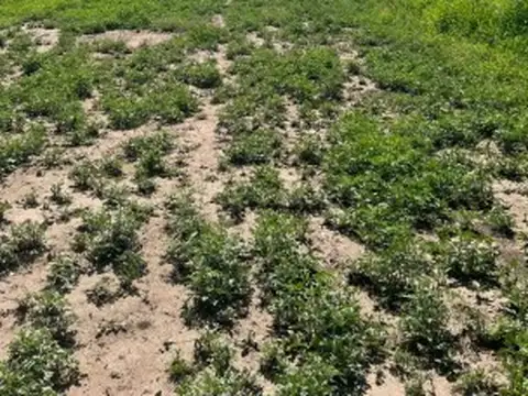 Terreno en Venta en Las Tapias, San Javier