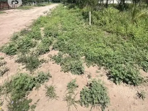 Terreno en Venta 14  mts Frente