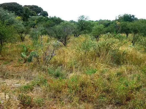 Terreno en venta con excelente vista a las Sierras -Centro - San Marcos Sierra