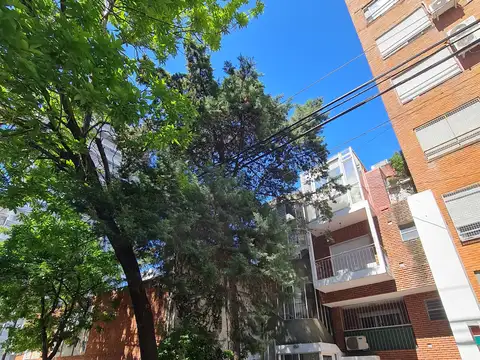 A 1 CDRA DE PQUE CENTERARIO 2 AMB + PATIO Y BALCON LA FRENTE