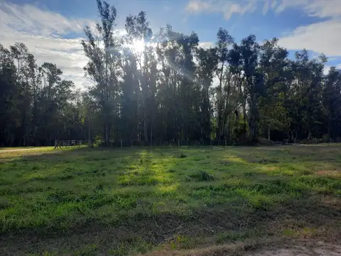 Terreno en Venta de 13365,0 m2