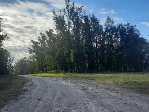 estrella federal ramallo