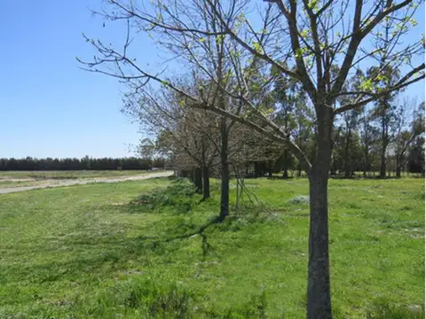 Terreno en Venta en Canning, USD 75.000