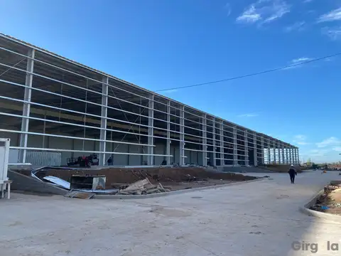 Martin de Gainza 1800