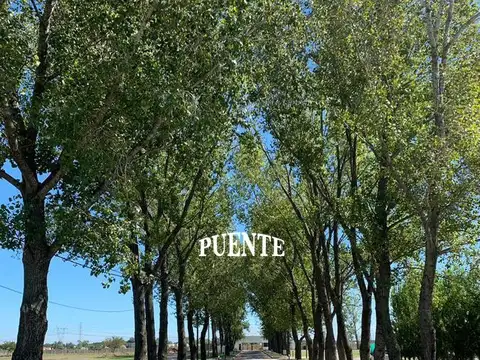 Terreno en Venta en Canning, USD 46.000
