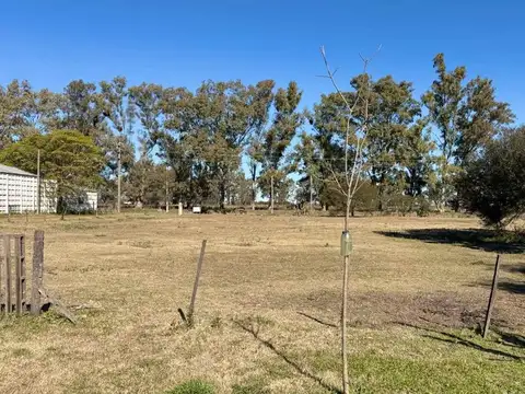 VENTA  / 2HAS  + CASA HABITACION/ RAFAELA