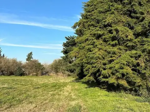 Terreno en Venta de 450,0 m2