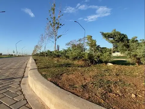 Venta Terreno de 300m2 en EcoTierra, Pueblo Esther
