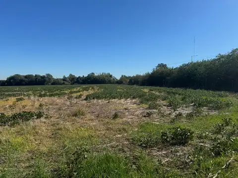 Terreno en Venta en Villa Astolfi, USD 2.200